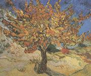 Vincent Van Gogh The Mulberry Tree (nn04) USA oil painting artist